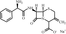 头孢氨苄相关化合物1