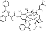 10-O-脱乙酰基-7-乙酰乙酰紫杉醇