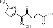 头孢地尼杂质2(噻唑基乙酰甘氨酸肟)