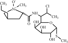 克林霉素氮氧化物