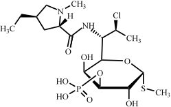 克林霉素B 3-磷酸
