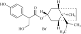4-羟基异丙托溴铵