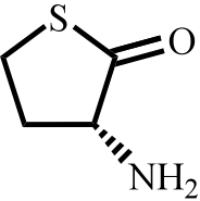 D-同型半胱氨酸硫内酯HCl