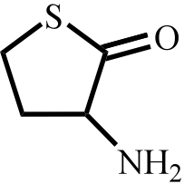 同型半胱氨酸硫内酯